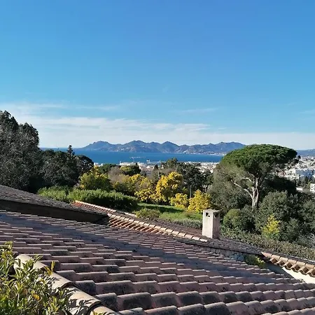 Villa Les 5 Palmiers Villa Cannes