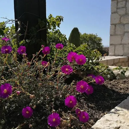 Villa Les 5 Palmiers Cannes