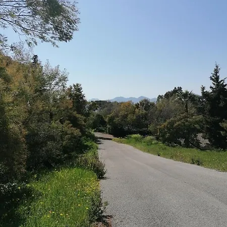 Villa Les 5 Palmiers * Cannes