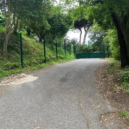 Villa Les 5 Palmiers * Cannes