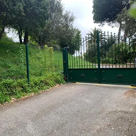 Villa Les 5 Palmiers Cannes